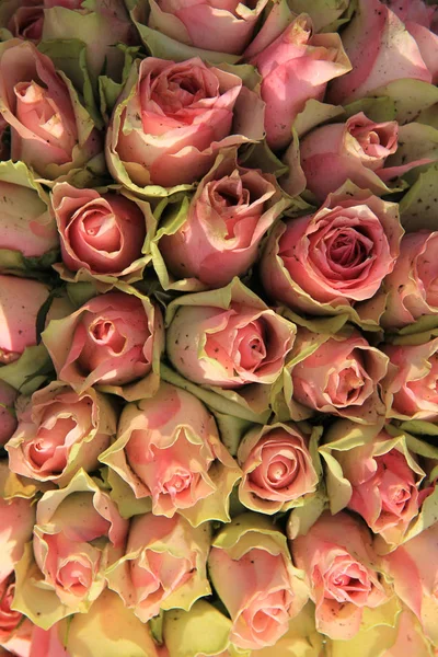 Hochzeitsdekoration mit rosa Rosen — Stockfoto