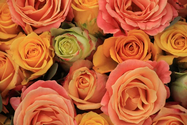 Yellow and orange roses — Stock Photo, Image