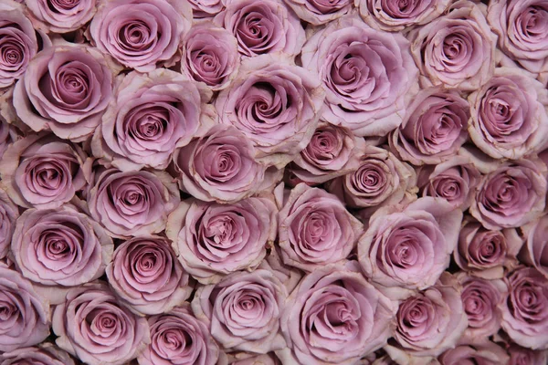 Purple rose wesele układ — Zdjęcie stockowe