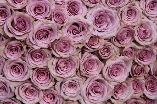 Arrangement de mariage rose pourpre — Photo