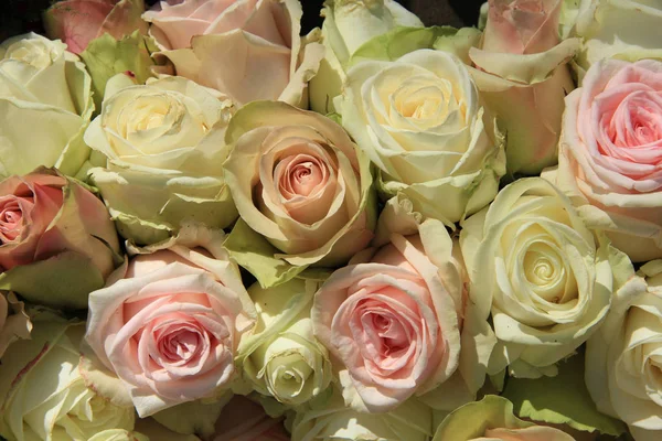 Weiße und rosa Rosen im Hochzeitsarrangement — Stockfoto