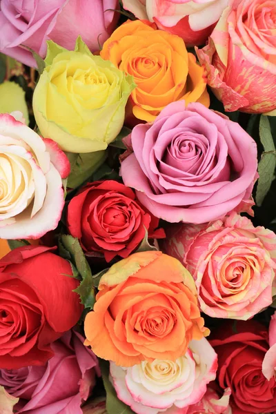 Multicolored wedding roses — Stock Photo, Image