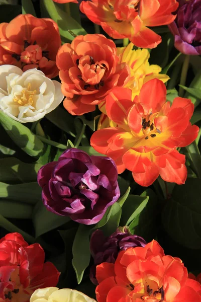 Ramo de tulipanes multicolor — Foto de Stock