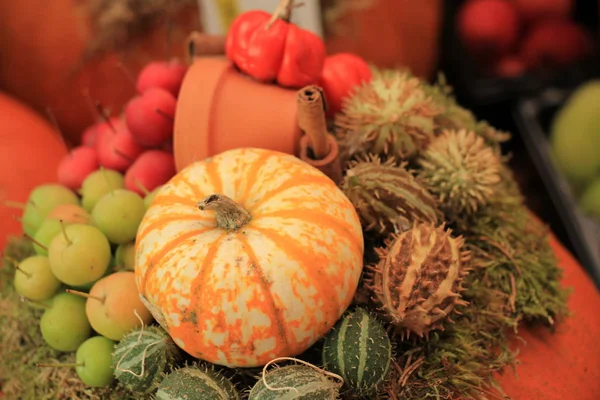 Coloridas decoraciones de Acción de Gracias —  Fotos de Stock
