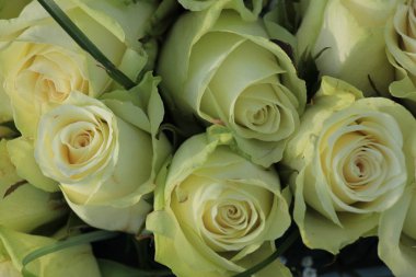 beyaz güllerden buket düğün