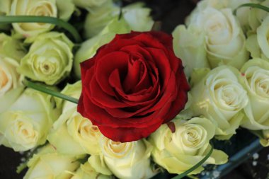 Beyaz düğün buket kırmızı gül