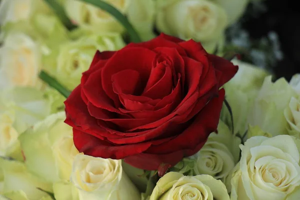 Rosa vermelha em um buquê de casamento branco — Fotografia de Stock