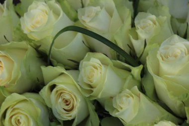 beyaz güllerden buket düğün