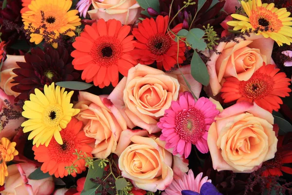 Flores de novia coloridas — Foto de Stock