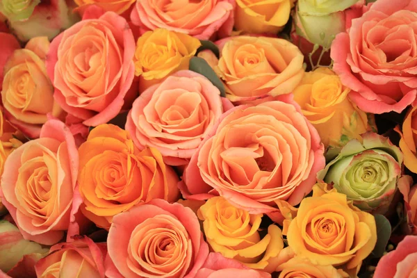 Yellow and orange roses — Stock Photo, Image