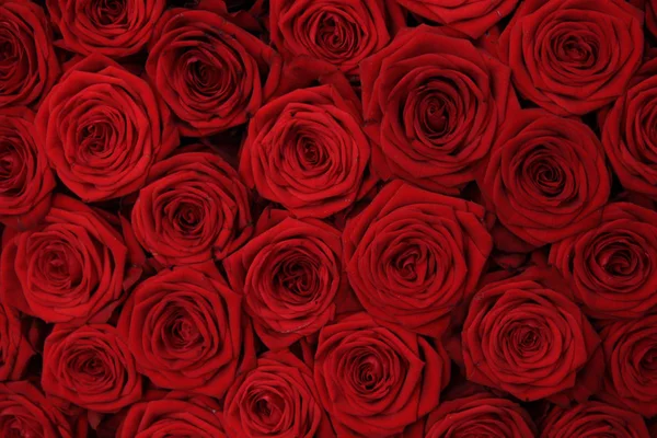 Κόκκινο τριαντάφυλλο γαμήλια ρύθμιση — Φωτογραφία Αρχείου