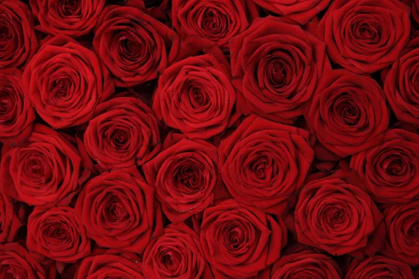 Red rose wedding arrangement — Stock Photo, Image