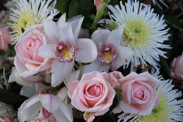 Rosa rosor och Cymbidium orkidéer — Stockfoto