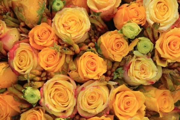 Mixed yellow bridal roses — Stock Photo, Image