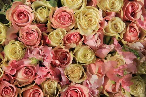 Witte en roze rozen in bruiloft regeling — Stockfoto
