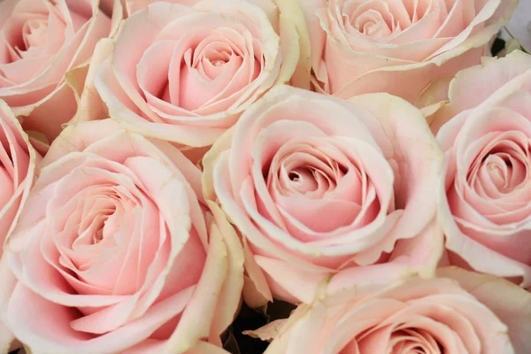 Розовая свадьба — стоковое фото