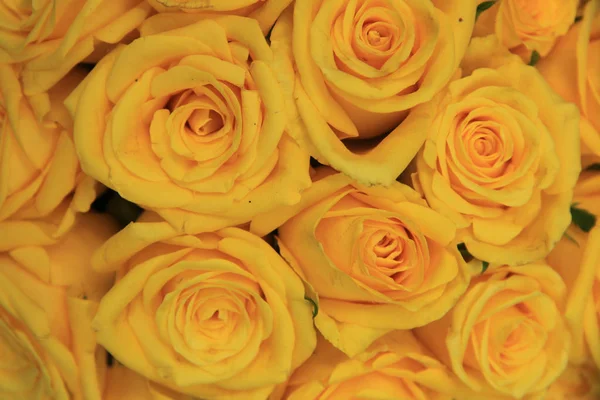 Yellow wedding roses — Stock Photo, Image