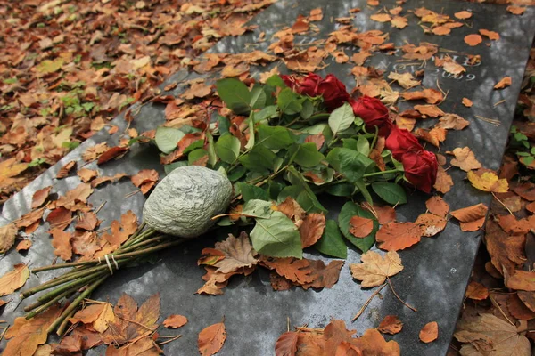 Красные розы на могиле — стоковое фото