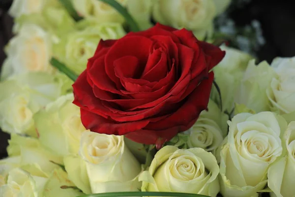 Rosa rossa in un bouquet da sposa bianco — Foto Stock