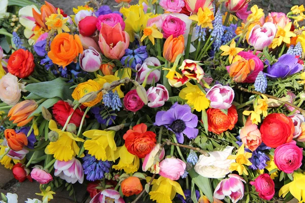 Flores de primavera em cores brilhantes — Fotografia de Stock