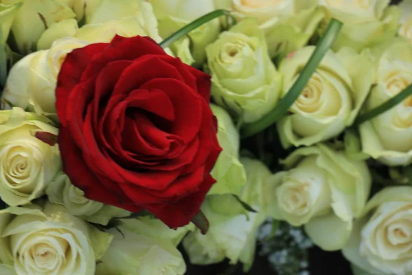 Rosa vermelha em um buquê de casamento branco — Fotografia de Stock