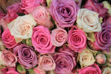 Karışık pembe güller