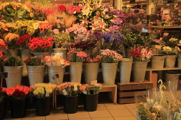 Flores em uma loja de flores — Fotografia de Stock