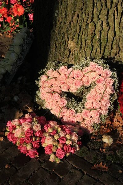 Hartvormige sympathie bloemen — Stockfoto