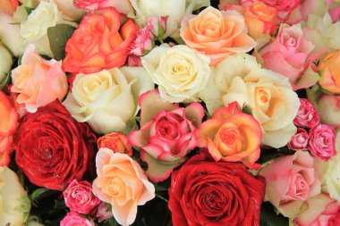 çok renkli gelin buketi