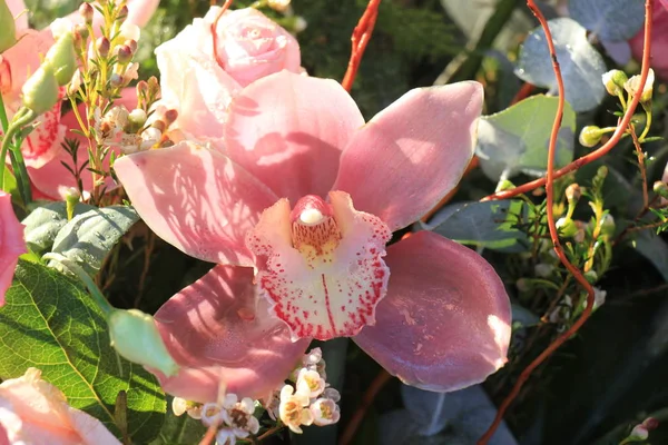 Růžových růží a orchidejí Cymbidium — Stock fotografie