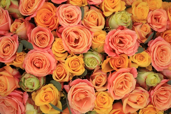 Gele en oranje rozen — Stockfoto