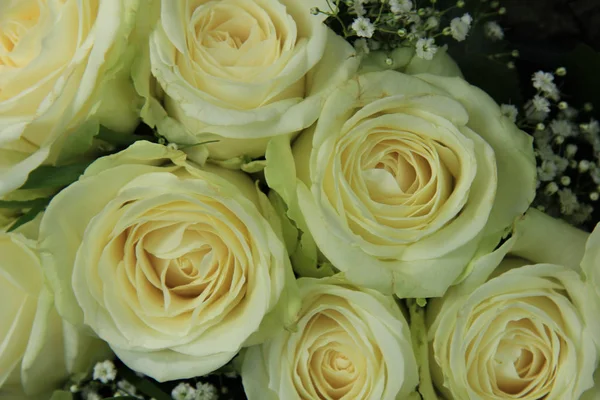 Decorazioni per matrimoni all'aperto: fiori bianchi — Foto Stock
