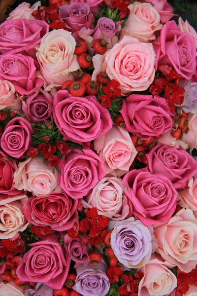 Rosas nupciais em rosa e roxo — Fotografia de Stock