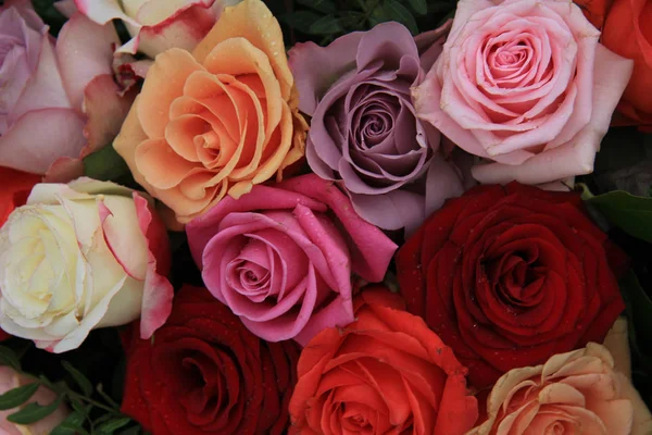 Blandade brud rosor — Stockfoto