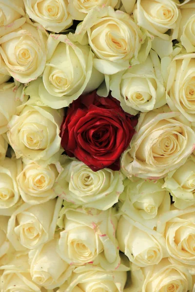 Red rose in white bouquet — Stock Photo, Image