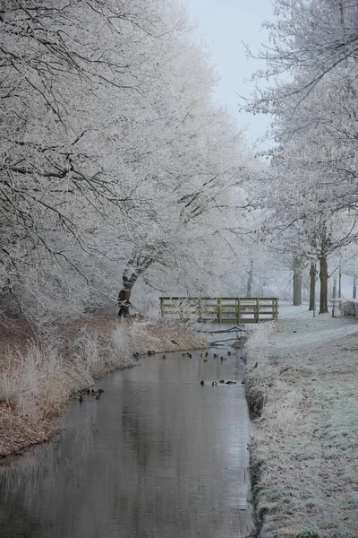 Zanja congelada en un paisaje invernal — Foto de Stock