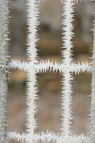 Um portão congelado — Fotografia de Stock