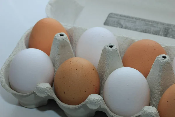 Ägg i en kartong — Stockfoto