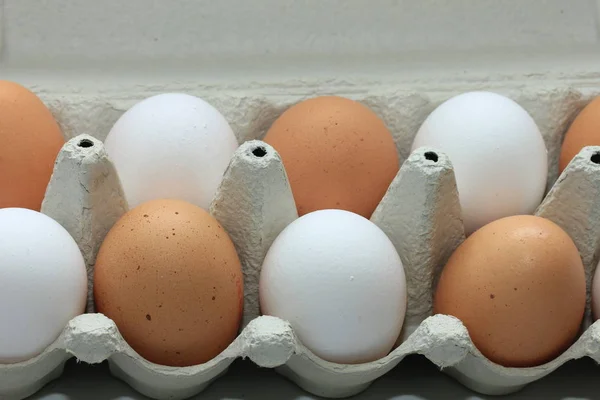 Oeufs dans une boîte en carton — Photo