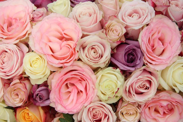 Wedding roses in pastel colors — Stock Photo, Image