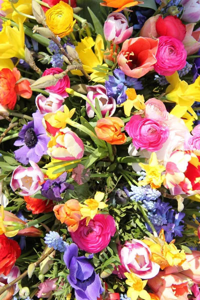 Flores de primavera em cores brilhantes — Fotografia de Stock