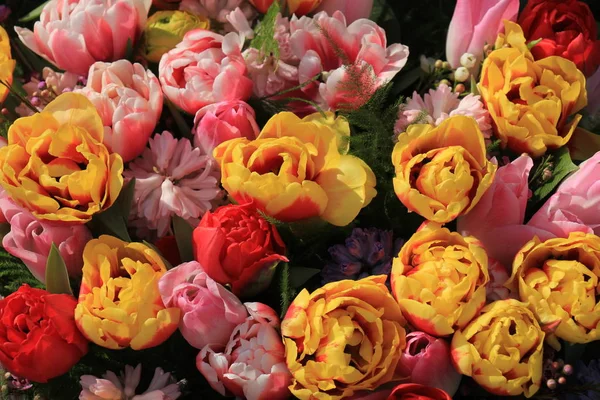 Pink and yellow tulips — Stock Photo, Image