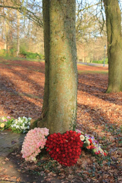 Sympathy flowers near a tree — Stock Photo, Image