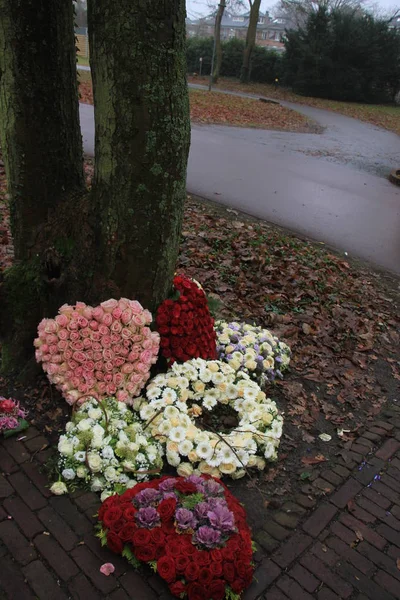 Sympathy flowers near a tree — Stock Photo, Image