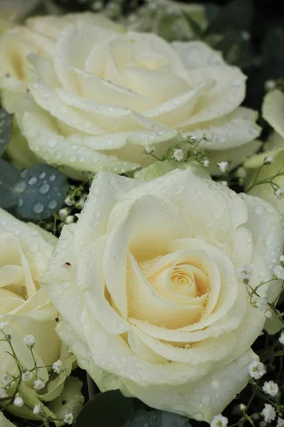 Esküvői Fehér Rózsa — Stock Fotó