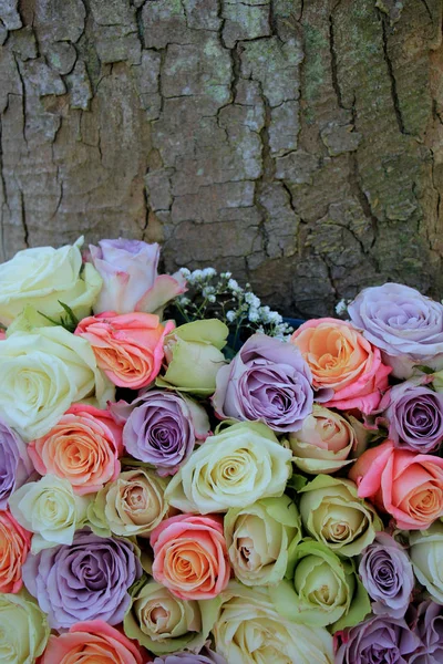 Bir düğün için karışık pastel gül — Stok fotoğraf