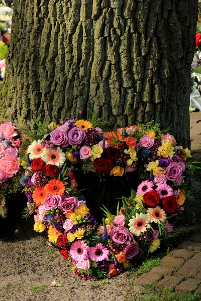 Sympathy flowers near a tree — Stock Photo, Image