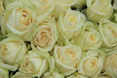 Klasik beyaz weddiing düzenleme