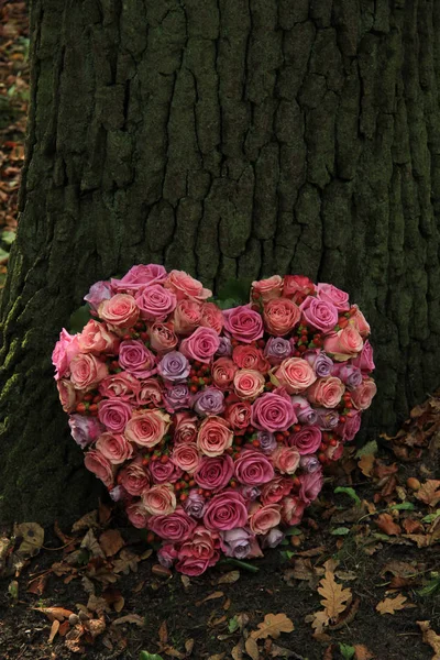 Flores de simpatía en forma de corazón — Foto de Stock