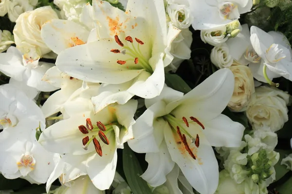 Big white lilies — Stock Photo, Image